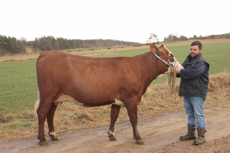 Orangina la vache abondance de Julien Gibert sélectionnée pour Paris 2022.