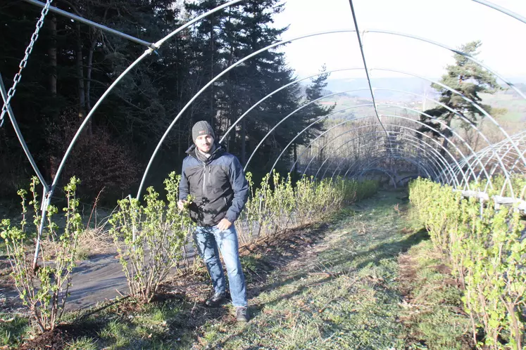 Emeric Duclaux du pertuis, installé en fruits rouges.