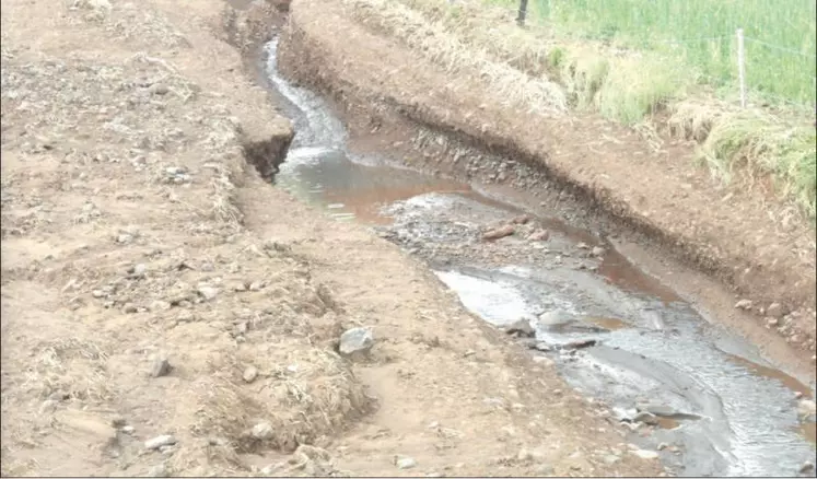 Une parcelle agricole ravinée par les trombes d’eau qui se sont abattues dans la nuit du 13 au 14 juin.