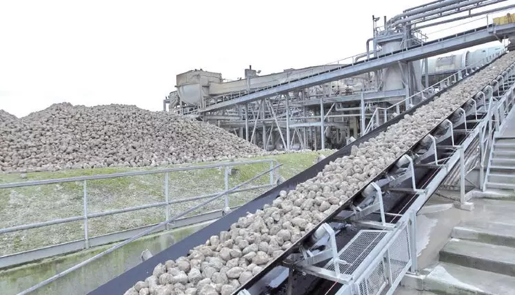La campagne 2015 s'annonce proche de la moyenne des années précédentes.