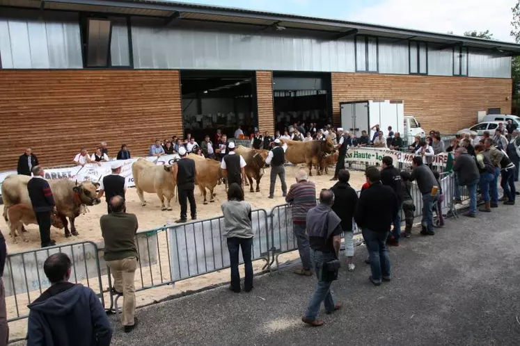 Les journées allaitantes, un rendez-vous professionnel organisé par la Chambre d’Agriculture de Haute-Loire en partenariat avec Codélia, le GDS43 et les syndicats de races.
