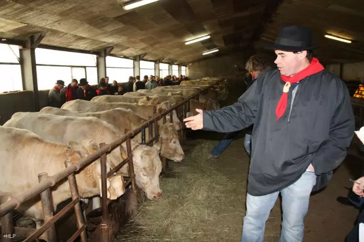 Mickaël Ribes devant ses charolaises qui seront bientôt vendues sous AOC Fin Gras du Mézenc.