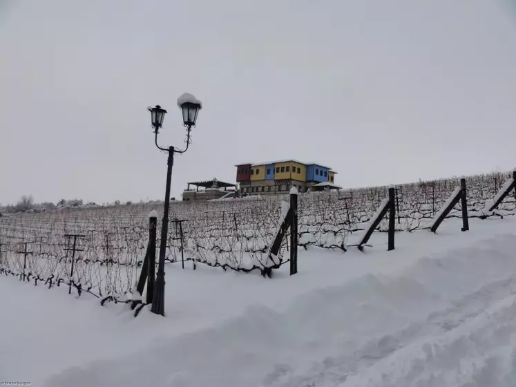 Exploitation viticole grecque avec création d'hôtel restaurant haut de gamme financé par les fonds européens.