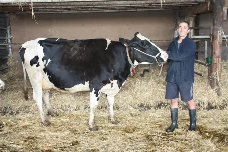 Daniel Guignand avec Fherka, une vache en 4e lactation, qui a toutes ses chances de remporter un prix.