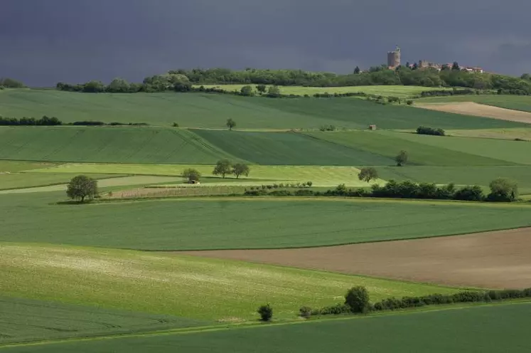 Les régions qui perdent le moins de terres agricoles (-2 %) se situent dans la diagonale centrale de la Lorraine au Limousin.
