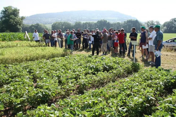 Les agriculteurs sont venus nombreux pour observer le comportement des cultures implantées et pour prendre note des premières analyses livrées par les techniciens de la Chambre d’agriculture.