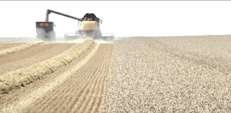 «La loi du plus riche ne fonctionne pas en agriculture : il faut des paysans au cœur des exploitations, pas des financiers» avance Guillaume Darrouy, responsable JA national du dossier foncier.