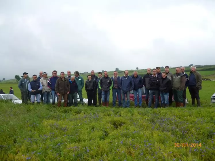 L’état sanitaire de la Lentille Verte du Puy se dégrade suite à l’excès de pluie.