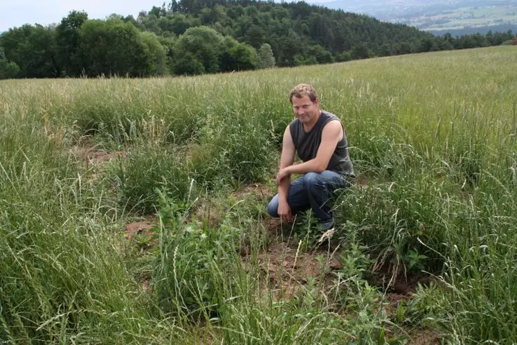 Jérôme au milieu de sa parcelle impossible à récolter.