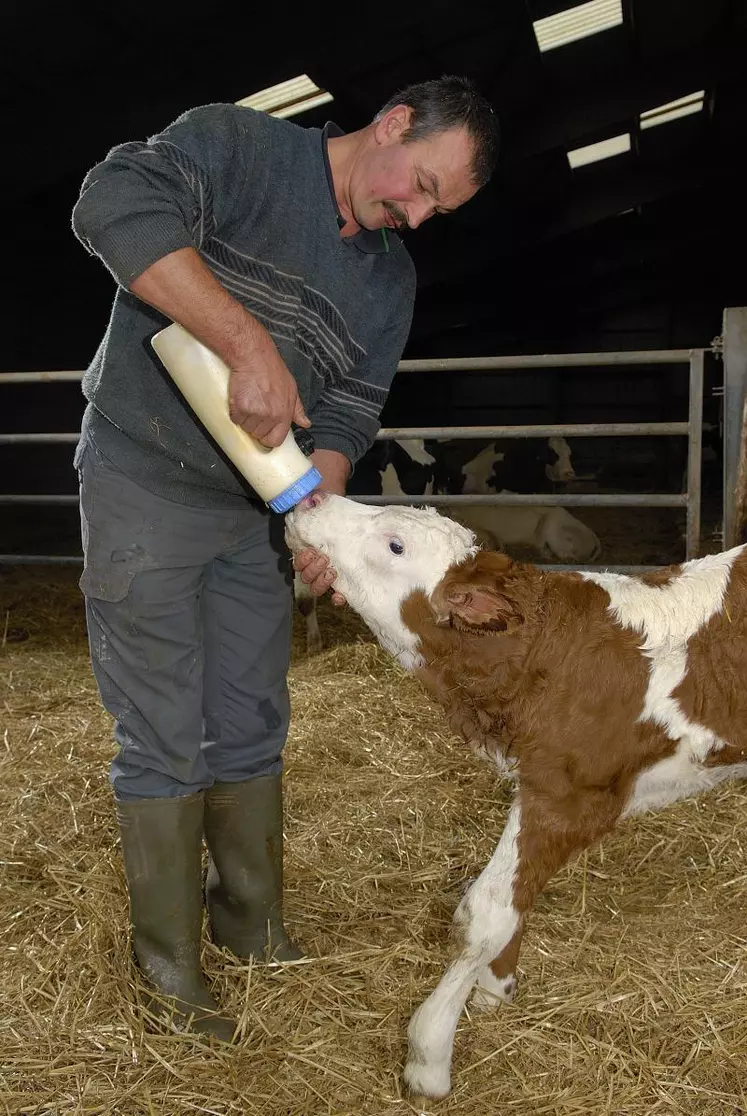 Les plus touchés ont été les producteurs de lait.