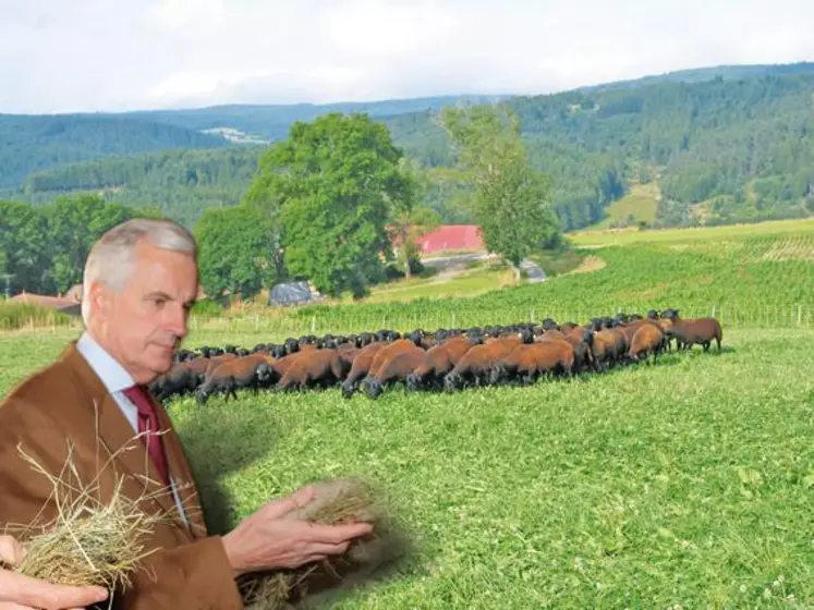 Élevage, herbe et montagne : le trio gagnant.