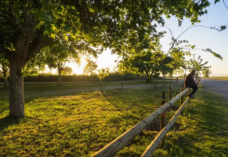 Mal-être, agriculteur en difficulté, suicide.