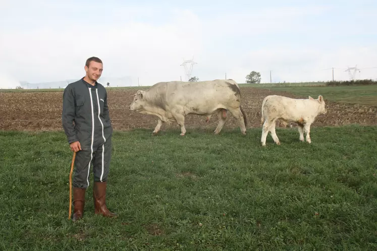 Louis Merle avec son taureau Montrésor qui défilera bientôt à Cournon.