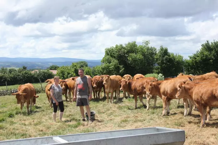 Mickael Forestier et Evelyne sa maman, associés du Gaec La Ferme du Velay sur la commune de St Haon, avec leurs limousines.