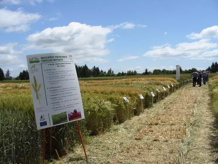 La chambre d’agriculture continue à mettre en place des essais sur différentes thématique (désherbage, travail du sol, fongicide, fertilisation…).