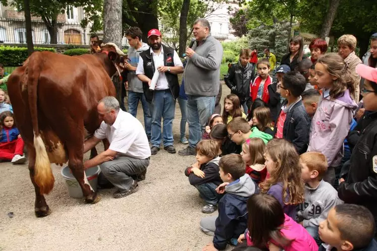 La démonstration de la traite d'une vache à la main est l'une des animations phare de l'opération sourire.