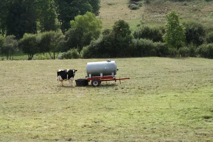 Alors que la sécheresse s'installe en Haute-Loire, la profession agricole entend réagir vite en demandant l'ouverture d'un dossier calamités agricoles.