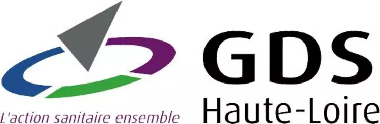 GDS logo