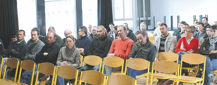 Les producteurs comme l'entreprise ont opté pour une seule OP avec quatre sections.