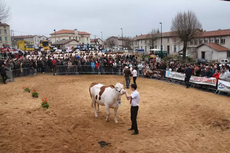 Une belle fête de l’élevage au Pays de Cayres-Pradelles.