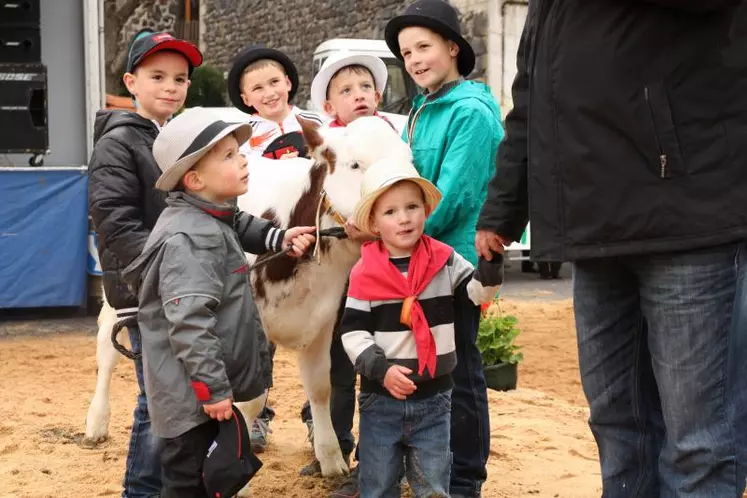 Les enfants d’éleveurs conduisaient un veau devant un public attendri.