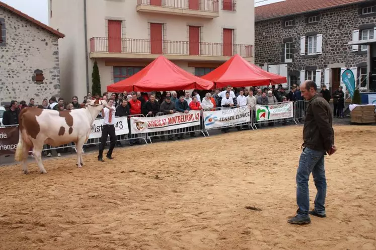 Durant tout l’après-midi, les Montbéliardes ont défilé devant le juge Philippe Chapuis.