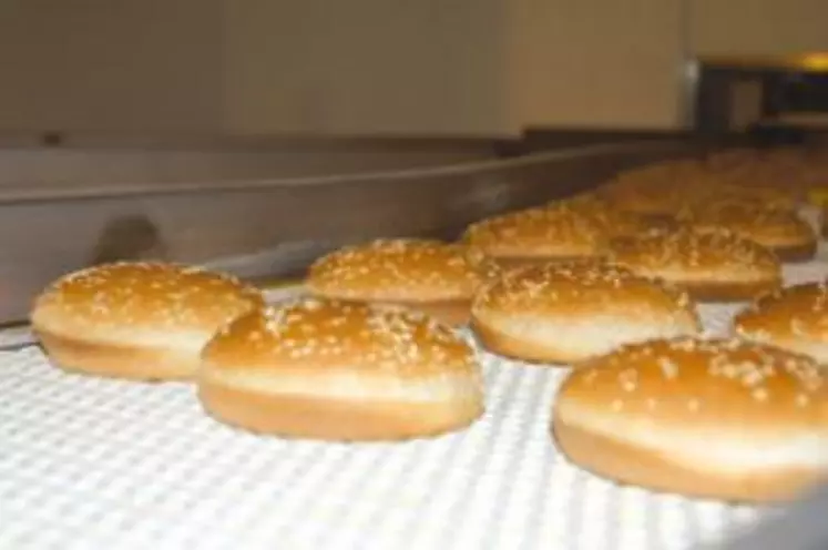 En l’espace de six ans, Jacquet est devenu leader dans les pains pour burger grâce aux expertises de l’ensemble du groupe Limagrain.