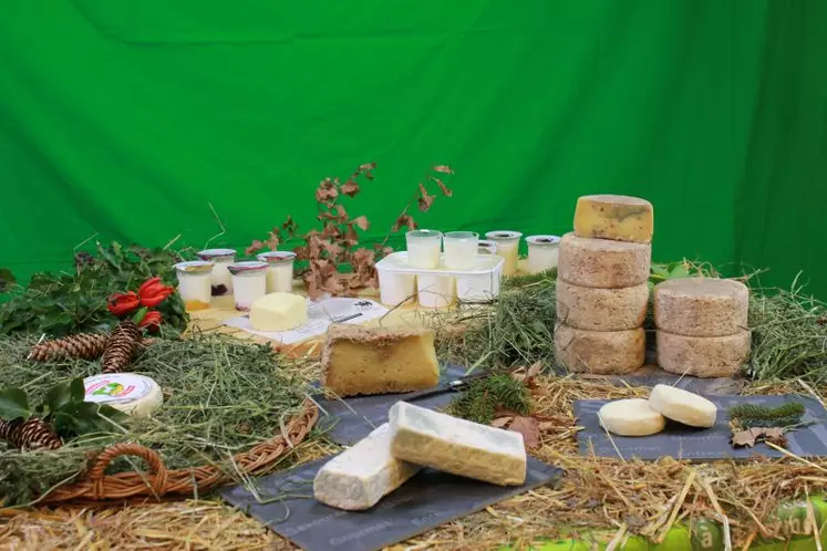 Le fromage au lait cru, un des fleurons de notre gastronomie locale voire française, mis à mal.