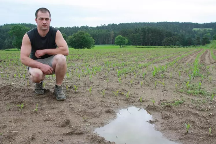 Julien Brignon sur une de ses parcelles de maïs gorgées d’eau.