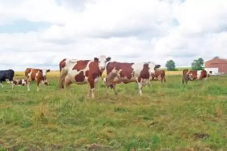 Les éleveurs de Haute-Loire dont le revenu est déjà grevé par les hausses de charges, n'accepteront pas des baisses du prix du lait.