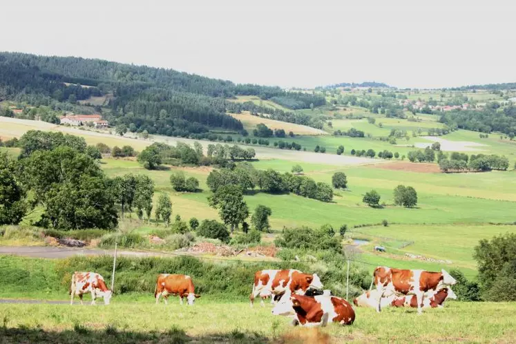 Valoriser les productions, augmenter les prix de vente, faire baisser les charges… autant de critères sur lesquels FDSEA et JA entendent se battre encore pour pouvoir vivre de l’agriculture dans nos zones de montagne.