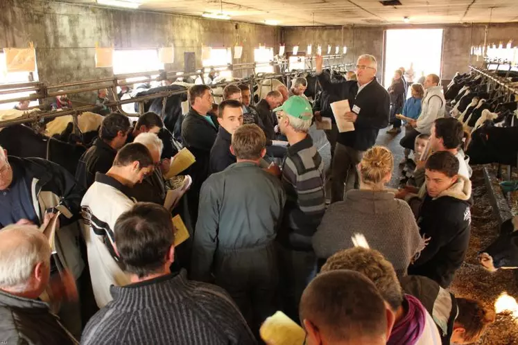 Les 40 vaches ou génisses Prim’Holstein de M. Jouve ont trouvé preneurs lors d’une vente sous pli caché par soumission.