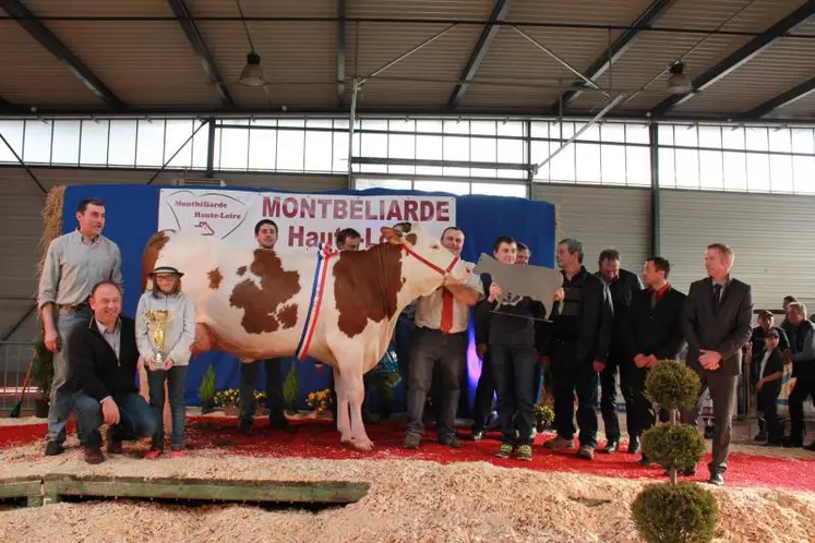 Juvamine du Gaec de l'Érosion au Monastier sur Gazeille remporte le grand chelem avec le Titre de Miss 2017, le challenge précocité et le prix de Meilleure mamelle.