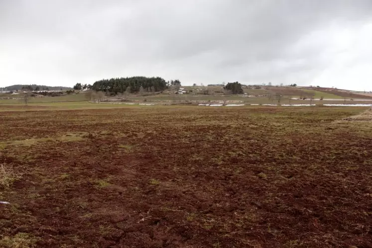 Non, ce n’est pas une terre, c’est bien une prairie.