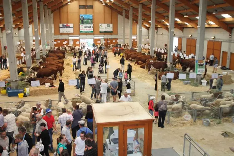 Ce comice était organisé par les JA de Saugues en collaboration avec la Chambre d’Agriculture, Haute-Loire Conseil Elevage, les syndicats de race, Codélia et GDS 43.