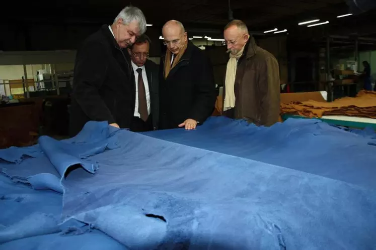 Les reponsables de l’usine et les Préfets devant une magnifique peau de veau teintée en bleu.