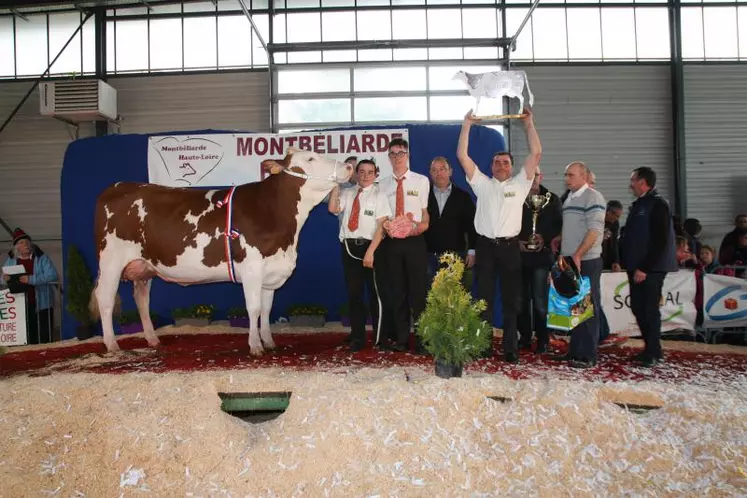 Lune de Miel du Gaec du Pivert (exploitation du président de «Montbéliarde Haute-Loire», Jean-Claude Rolly), a été sacrée Miss Montbéliarde 2018 le 8 avril à Saint-Paulien.