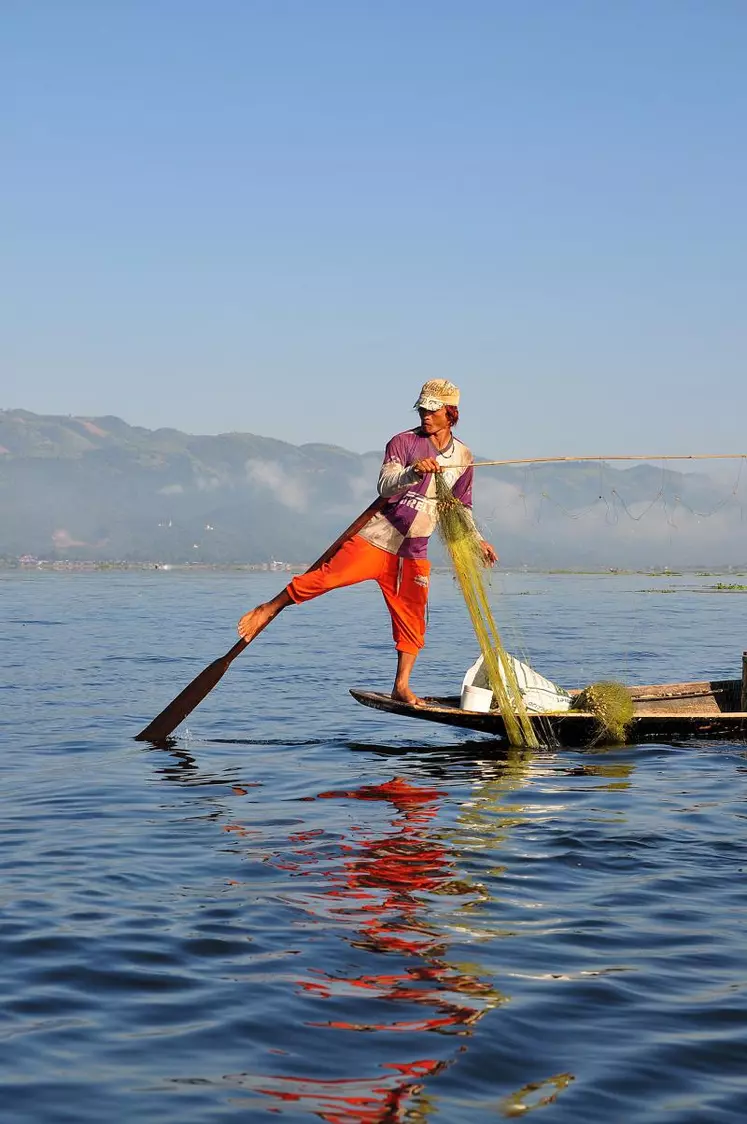 Sur le lac Inle se développent une agriculture autour de la tomate et d'autres activités économiques locales.