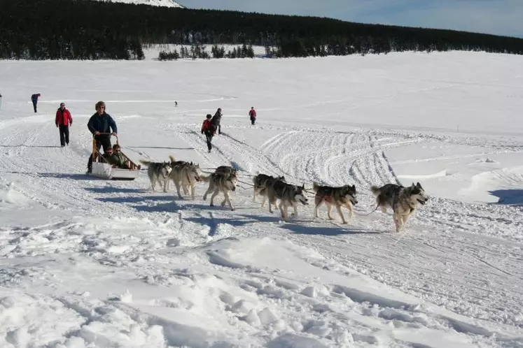 Respirando, une journée pour découvrir les sports d’hiver tout en dégustant les produits locaux du Mézenc.