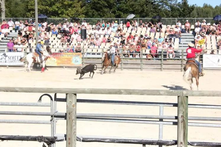 Adresse et rapidité pour le roping.