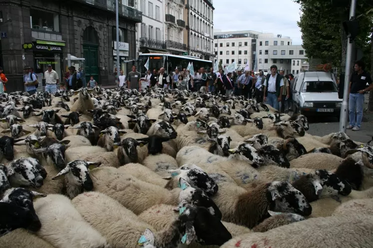 La Transhumance de l’Espoir a payé.