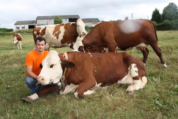 Mikaël Vacher en compagnie de ses vaches laitières.