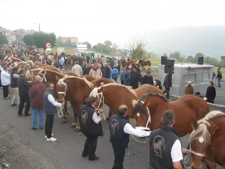 Notez les dates et lieux des concours 2009.