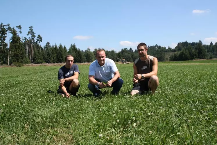 Anthony et Pierre Chataing avec Mickaël Rolland sur la parcelle de 1ha qui accueillera prochainement la journée de l’herbe.