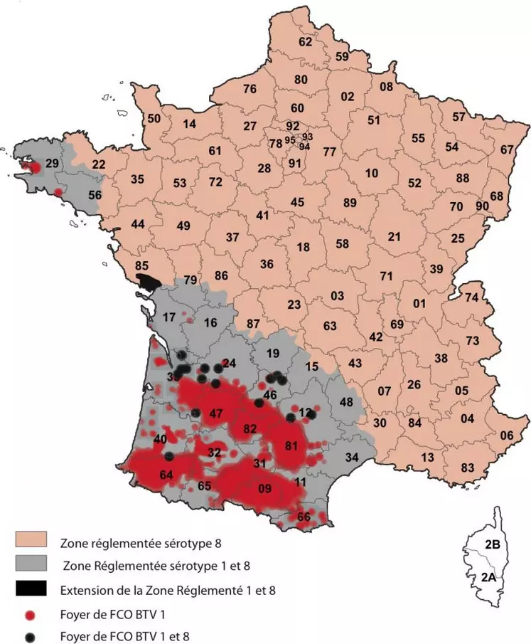 La situation début janvier 2009.