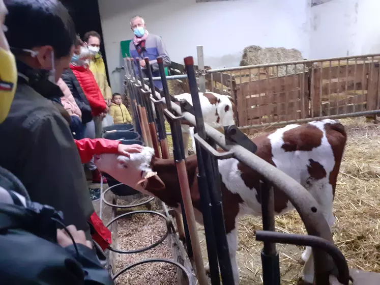 Le public au contact des animaux lors de lopération De Ferme en Ferme.