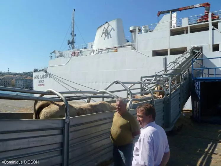 3 000 babys, en partance, vendredi dernier, pour la Turquie, au départ du port de Sète.