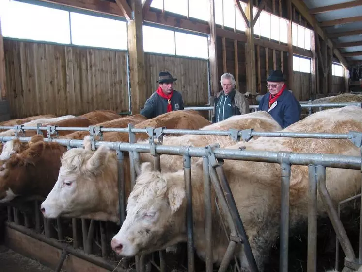 Dans la ferme de Jean Daniel et David Genest au Mazet St Voy, 8 animaux Fin Gras sont destinés à la commercialisation sous marque Fin Gras du Mézenc cette saison.