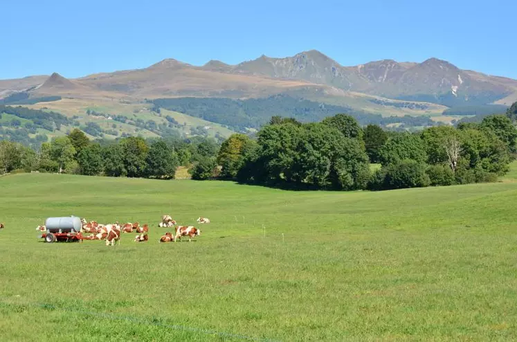 Les zones de montagne se distinguent des zones rurales par l'altitude.