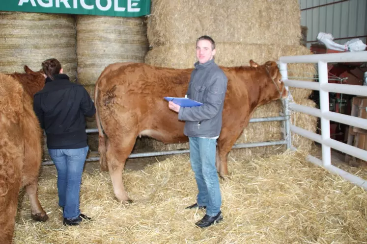 Deux candidats en train de pointer une vache allaitante.